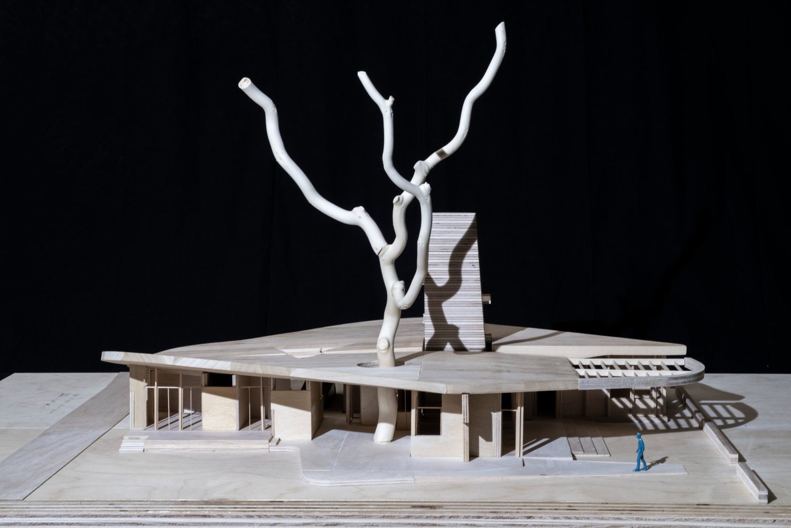 Smooth Growth exhibition model, front